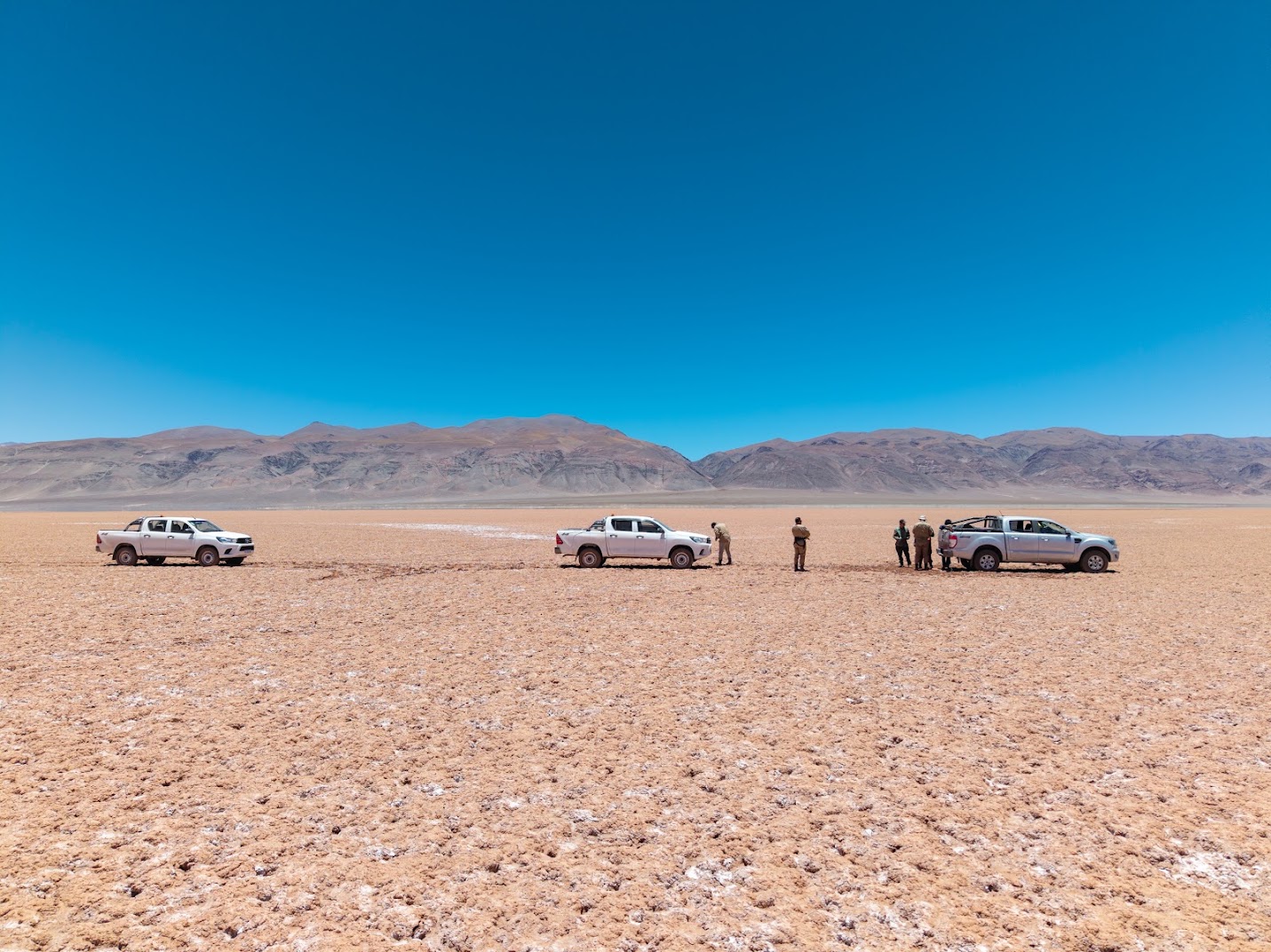 In-house crew and own vehicles working on a salar in the Puna